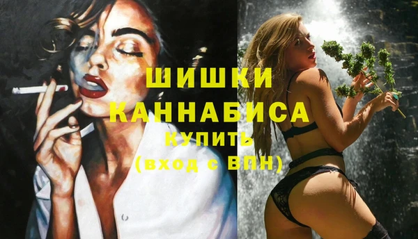 дживик Навашино