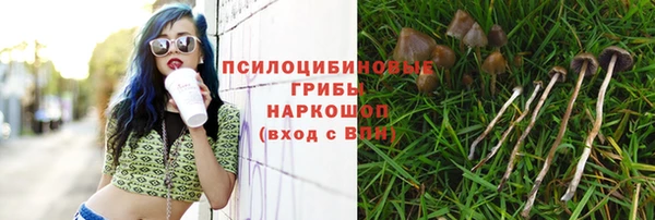 дживик Навашино