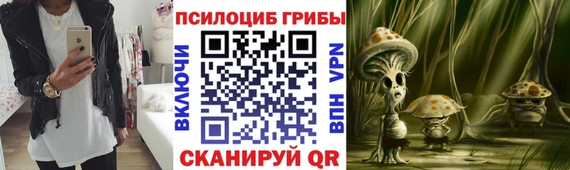 Купить где  Углич  Галлюциногенные грибы MAGIC MUSHROOMS 